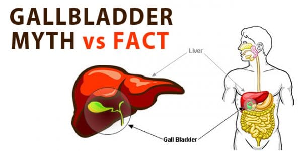 Gallbladder Problems And Their Myths Dr Sandra Cabot Md