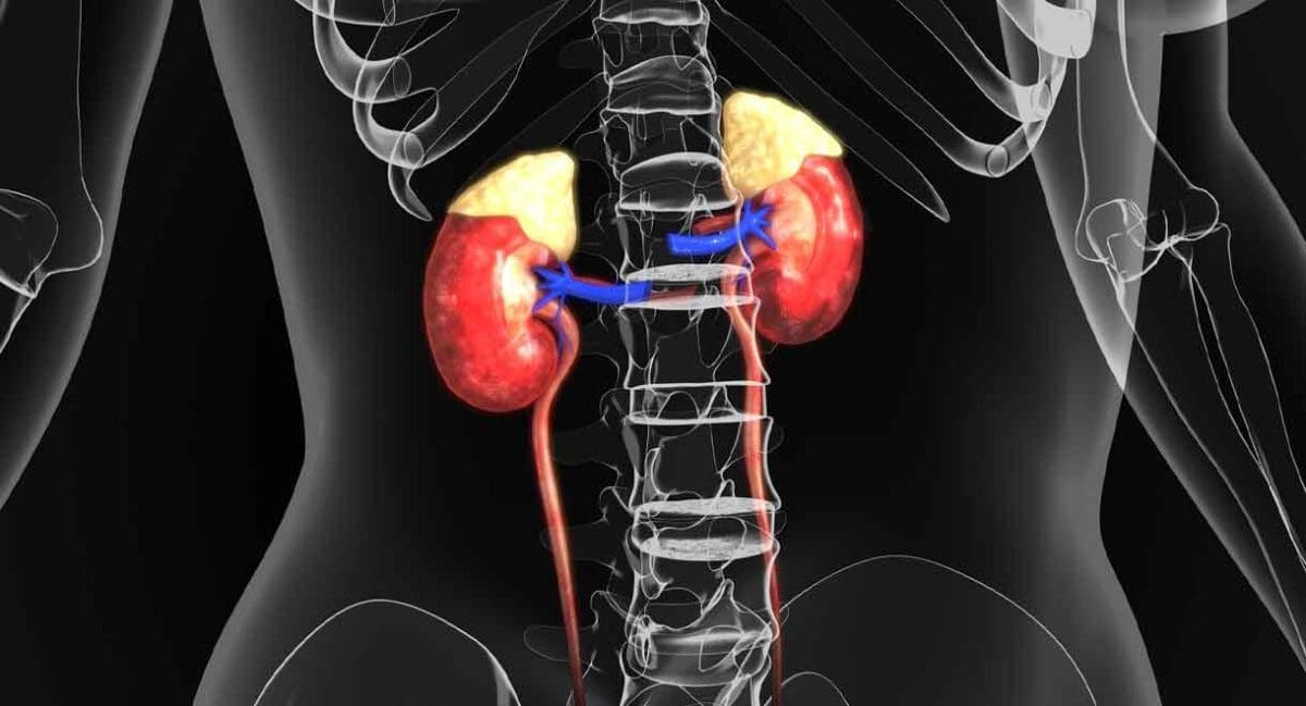 causes of overactive adrenal glands
