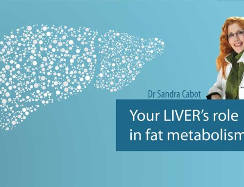 All About The Liver – PART 3 Your Liver’s Role In Fat Metabolism