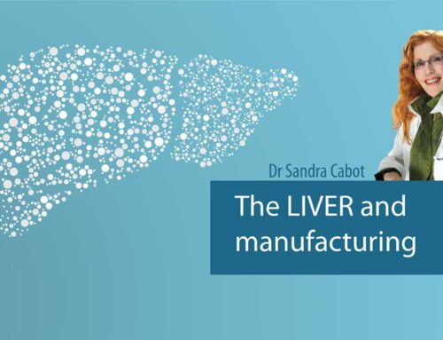 All About The Liver – PART 5 The Liver And Manufacturing
